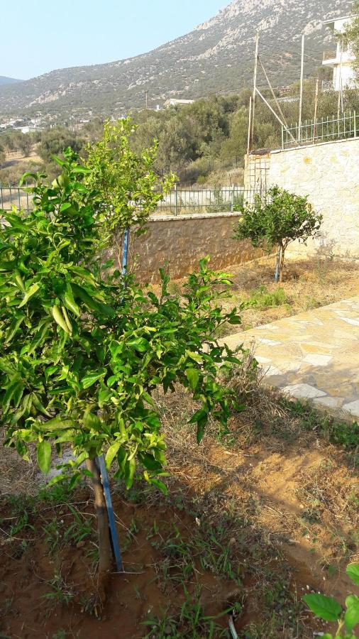 Εξωτικο Διαμερισμα Με Θεα Την Παραλια Αλυκης Villa Alikí Kültér fotó